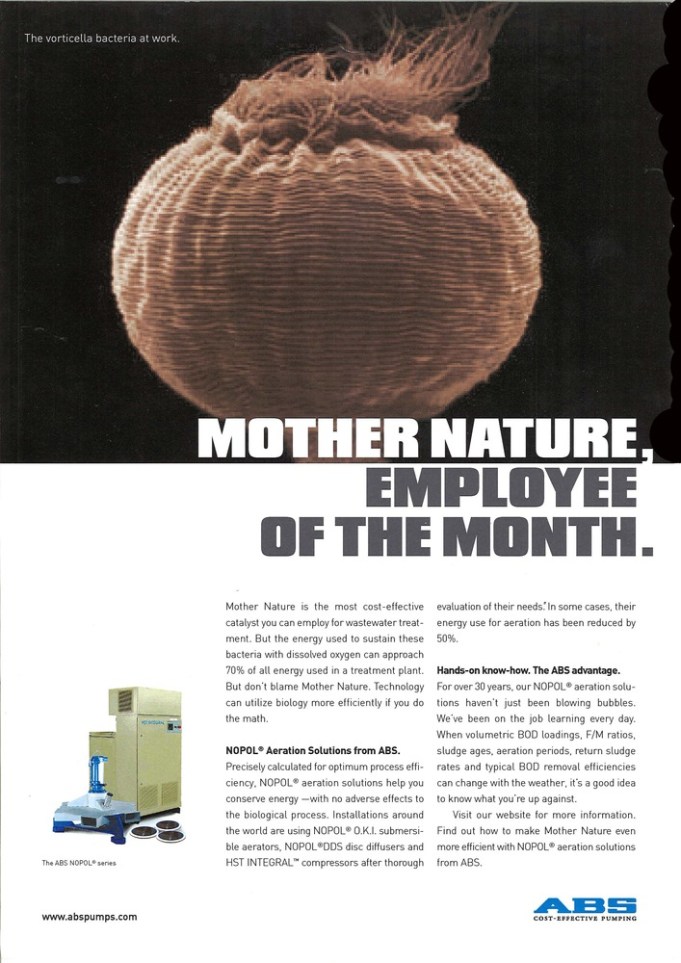 Abs_mothernature_ada